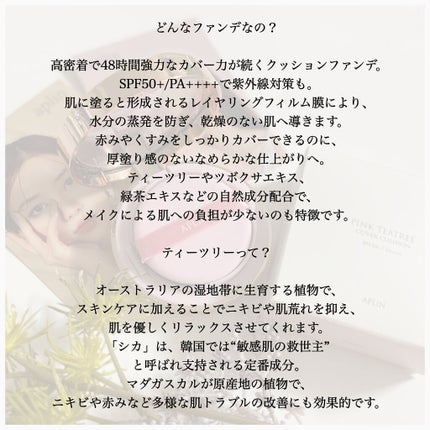 ピンクティーツリーカバークッション/APLIN/クッションファンデーションを使ったクチコミ(3枚目)