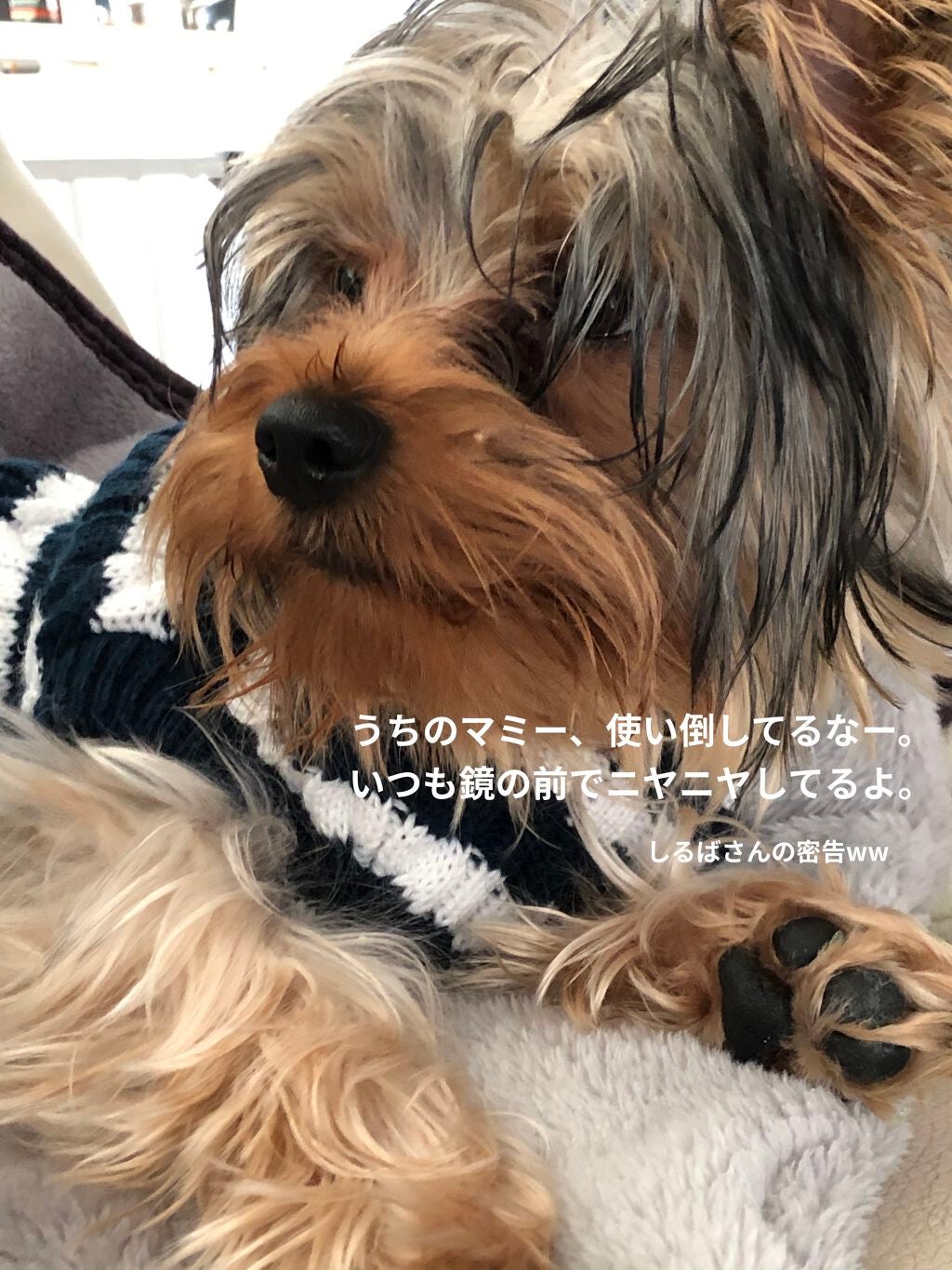 グリッタープリズム シャドウ/MISSHA/グリッターを使ったクチコミ(2枚目)