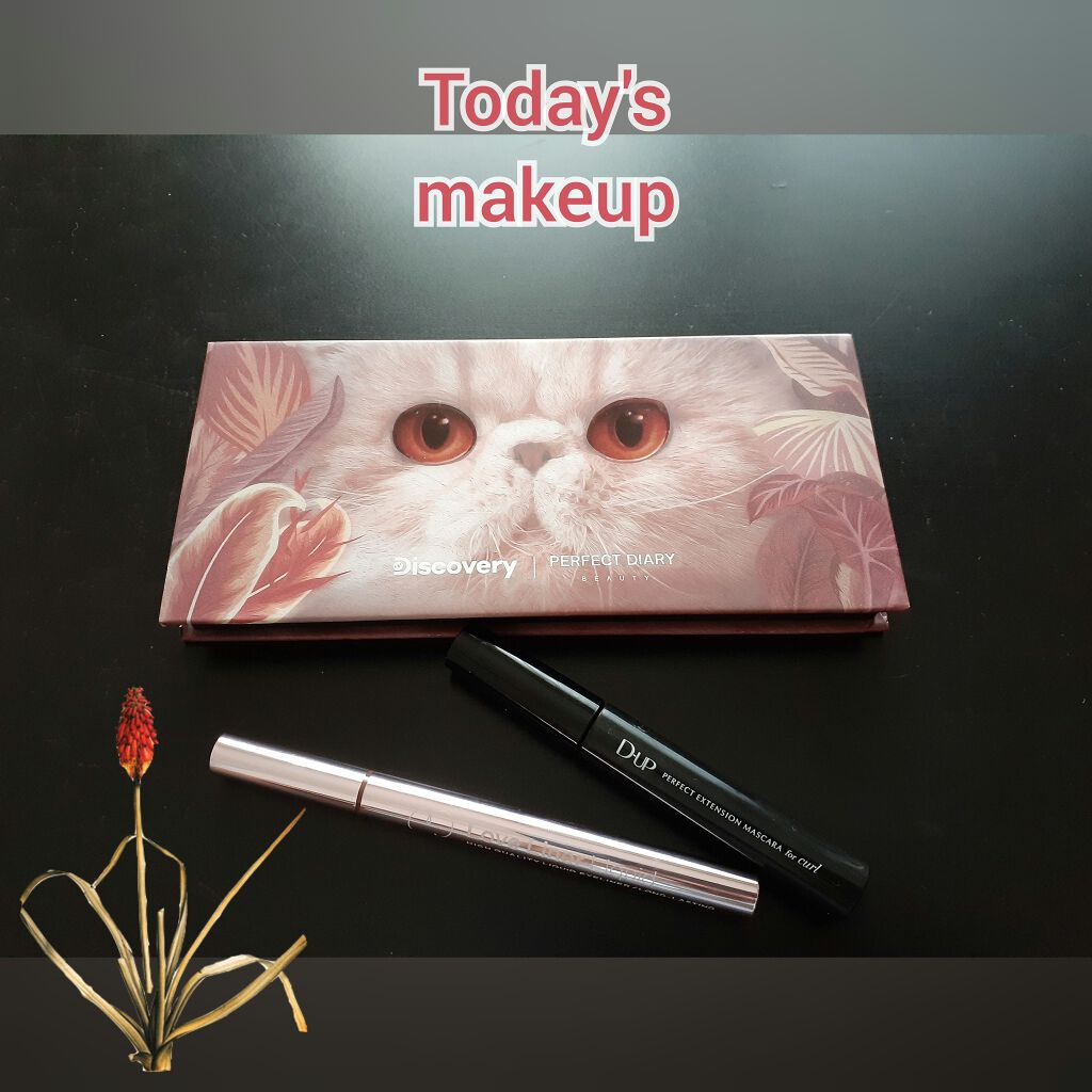 ラブ・ライナー リキッドアイライナーＲ３/ラブ・ライナー/リキッドアイライナーを使ったクチコミ（1枚目）