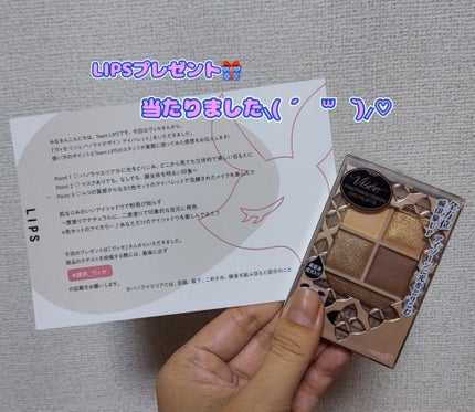 パノラマデザイン アイパレット/Visée/アイシャドウパレットを使ったクチコミ(1枚目)