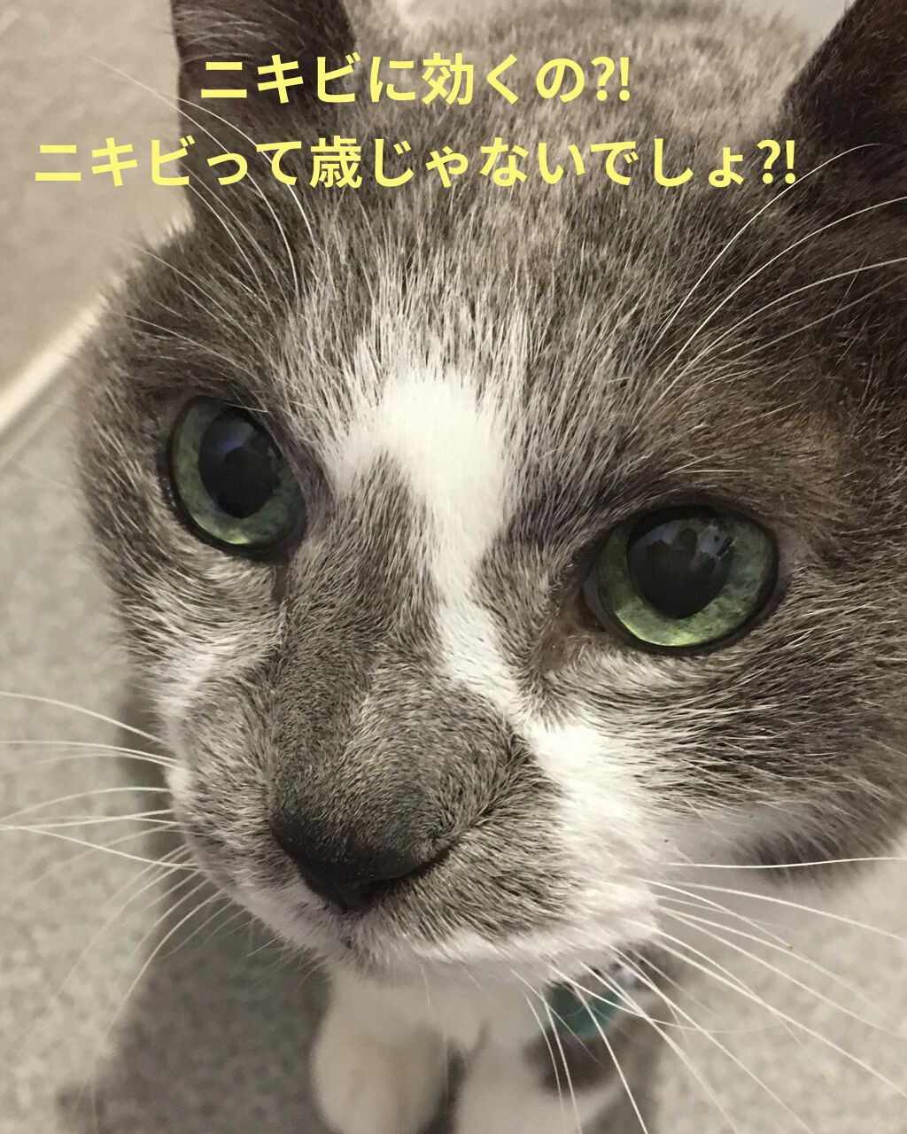 [I'm Sorry For My Skin] リラクシング アンプル/ultru/美容液を使ったクチコミ（2枚目）