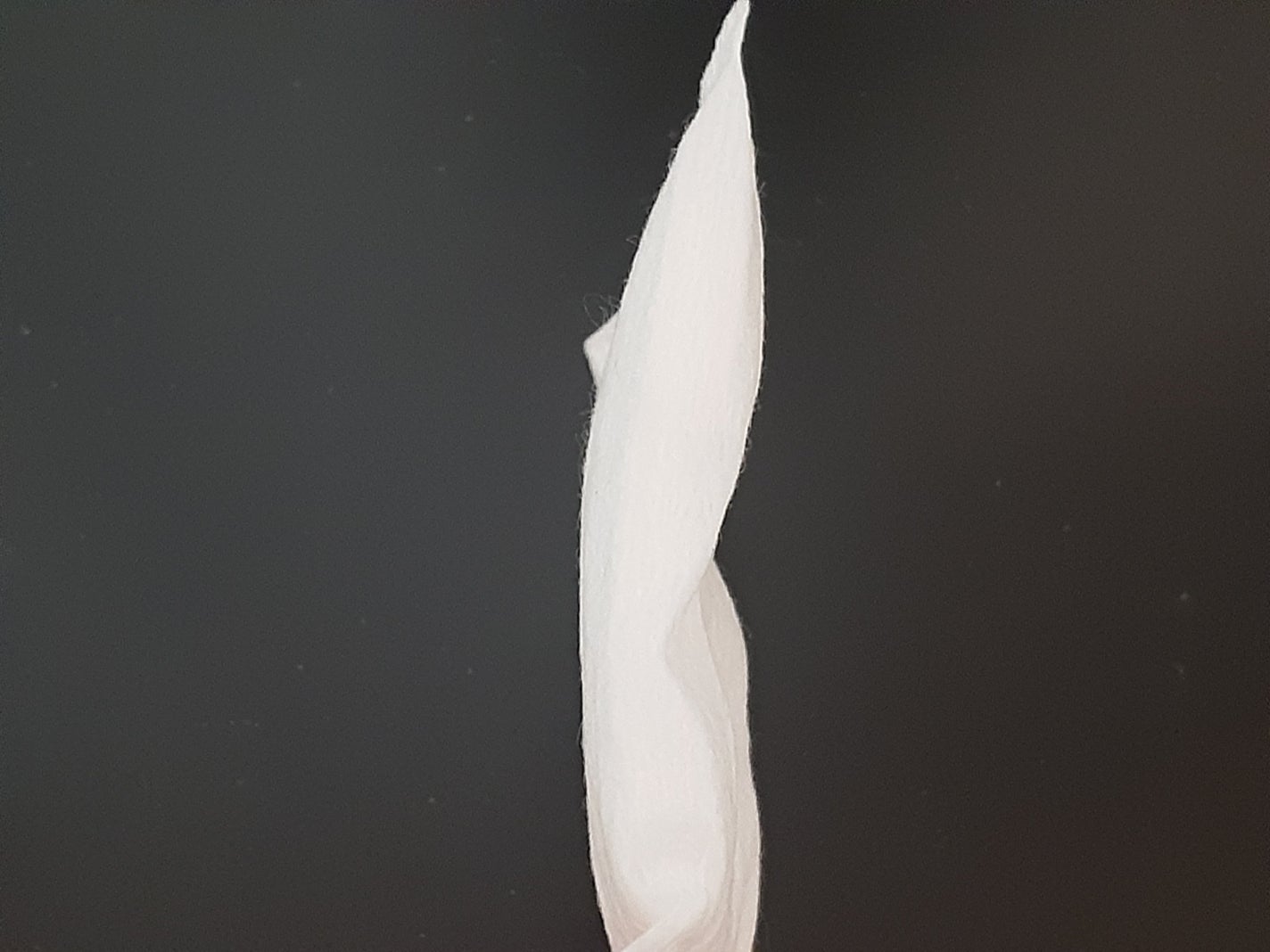 シルコットなめらか仕立て/シルコット/コットンを使ったクチコミ(3枚目)