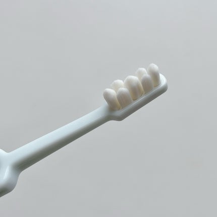 ã䜿ã£ãã¯ãã³ãïŒ2æç®ïŒ