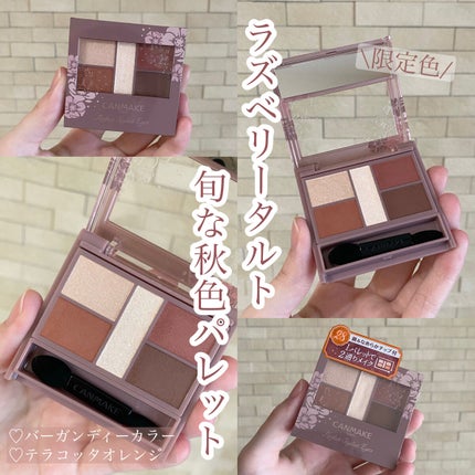 パーフェクトスタイリストアイズ/キャンメイク/アイシャドウパレットを使ったクチコミ(1枚目)