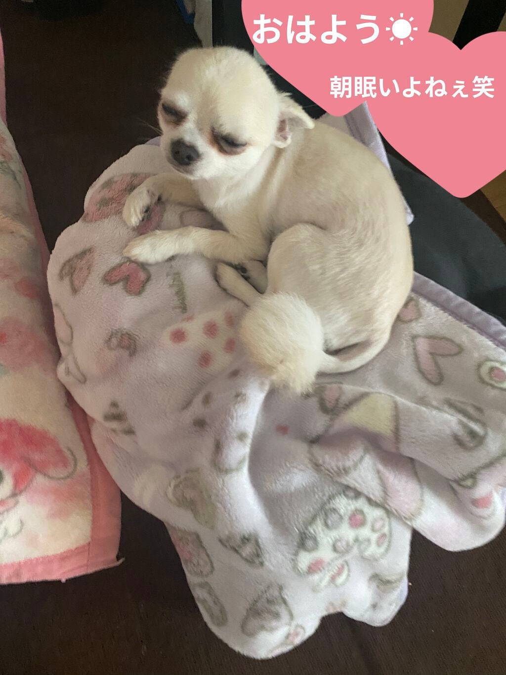 シルキースフレアイズ/キャンメイク/アイシャドウパレットを使ったクチコミ(7枚目)