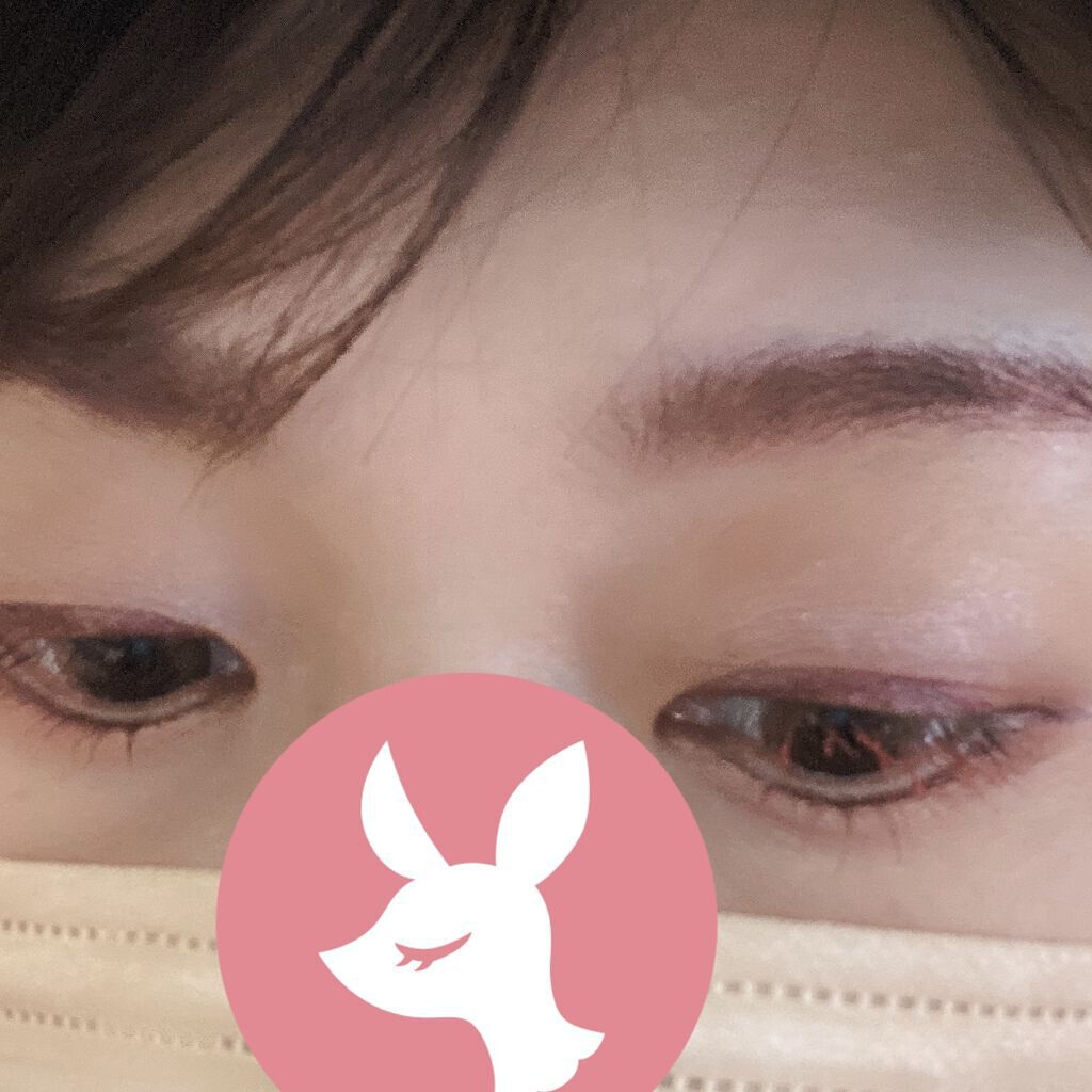 アイニュアンス/キャンメイク/アイシャドウパレットを使ったクチコミ（3枚目）