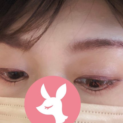 シルキースフレアイズ(マットタイプ)/キャンメイク/アイシャドウパレットを使ったクチコミ(3枚目)