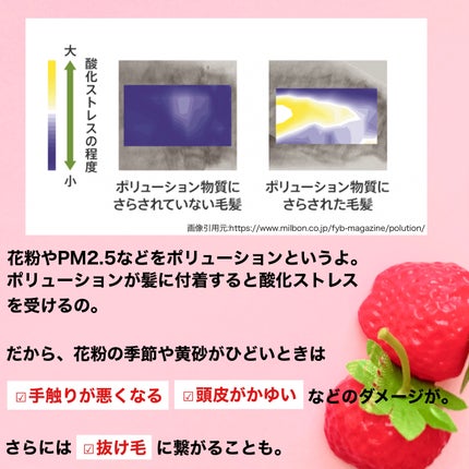 イオ クレンジング リラックスメント シャンプー/LebeL/サロンシャンプーを使ったクチコミ(6枚目)