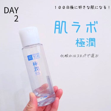 極潤ヒアルロン液（ハダラボモイスト化粧水d）/肌ラボ/化粧水を使ったクチコミ（1枚目）