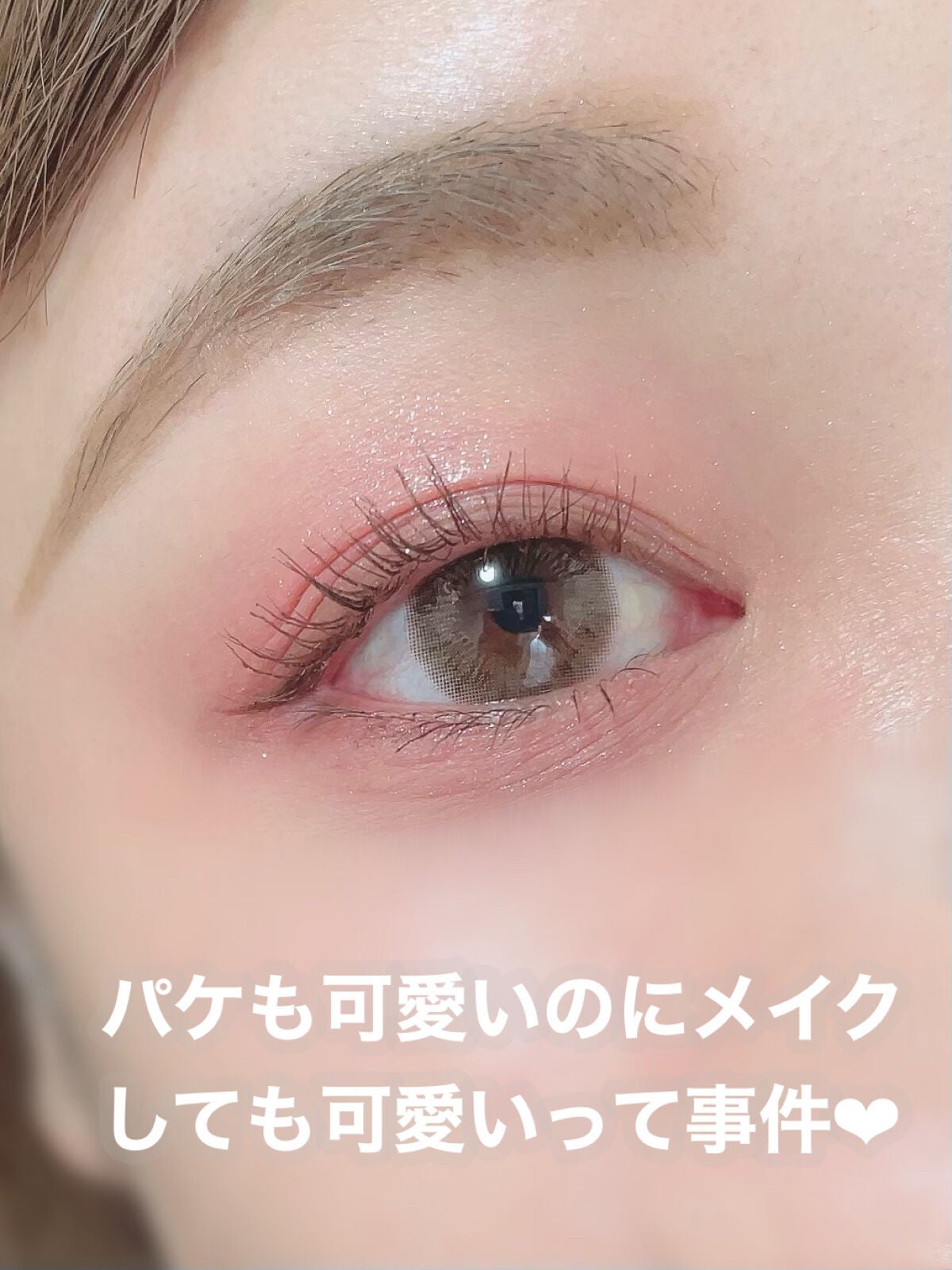 ごんす@YouTube始めました on LIPS 「《ZEESEAあざと可愛いメイク❤︎》パケが猫でとっても可愛い..」(4枚目)