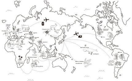 を使ったクチコミ(2枚目)