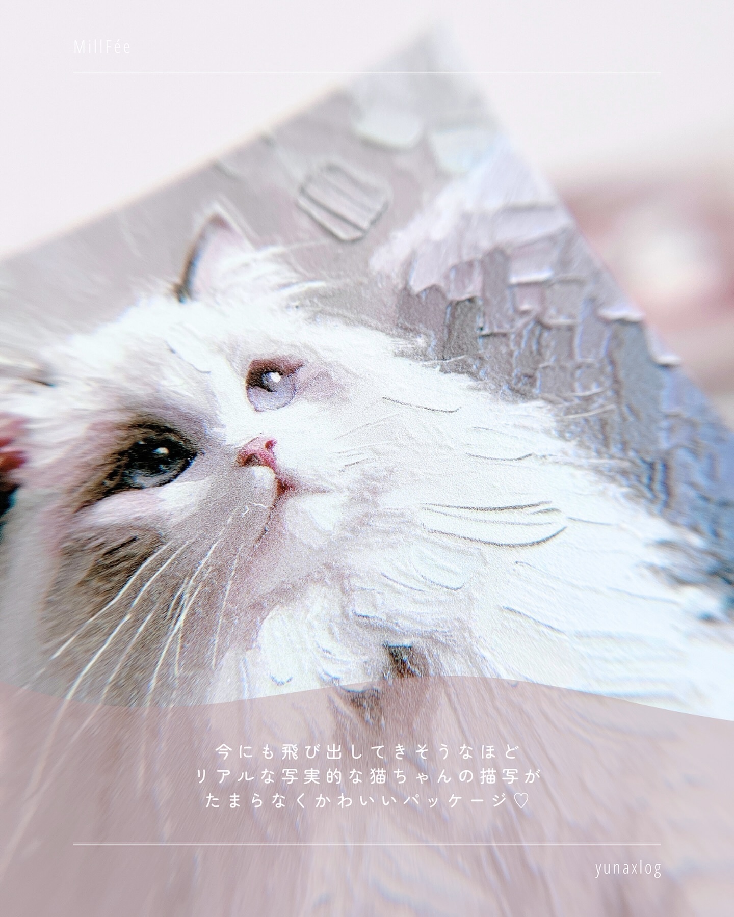 マイキティアイパレット 03 三毛猫/MilleFée/アイシャドウパレットを使ったクチコミ（3枚目）