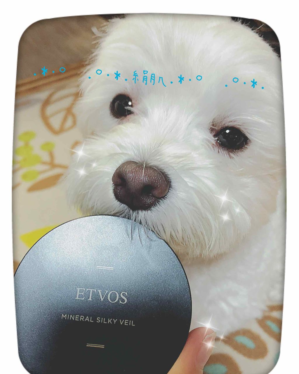 ミネラルシルキーベール/エトヴォス/プレストパウダーを使ったクチコミ（1枚目）