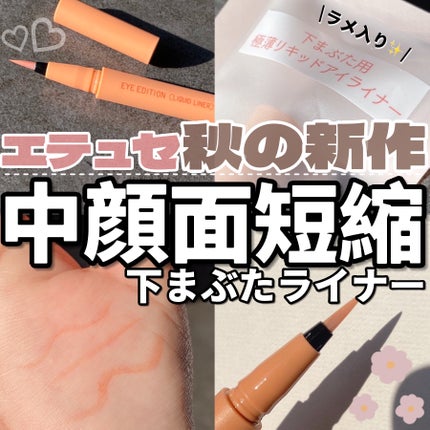 エテュセ アイエディション(リキッドライナー)/ettusais/リキッドアイライナーを使ったクチコミ(1枚目)