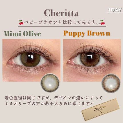 Cheritta 1day ミミオリーブ(Mimi Olive)/Cheritta/ワンデー(1DAY)カラコンの画像