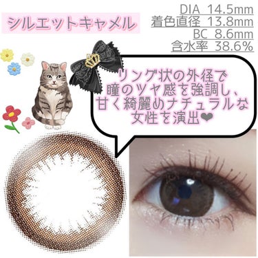 eye closet 1DAY（アイクローゼット ワンデー）/EYE CLOSET/ワンデー（１DAY）カラコンを使ったクチコミ（7枚目）