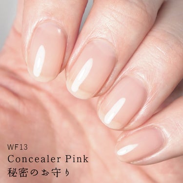 HOMEI ウィークリージェル WF13 コンシーラーピンク(Concealer Pink)