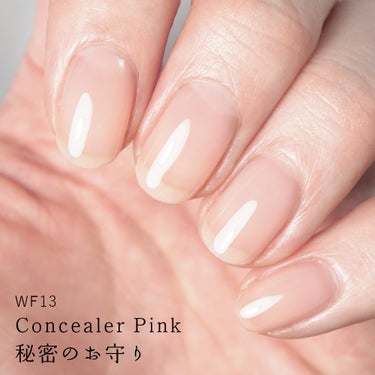 HOMEI HOMEI ウィークリージェル WF13 コンシーラーピンク(Concealer Pink)