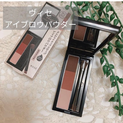 ヴィセ リシェ アイブロウパウダー/Visée/パウダーアイブロウを使ったクチコミ(1枚目)