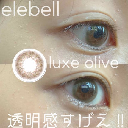 1DAY Refrear elebelle/Refrear/ワンデー(1DAY)カラコンを使ったクチコミ(1枚目)