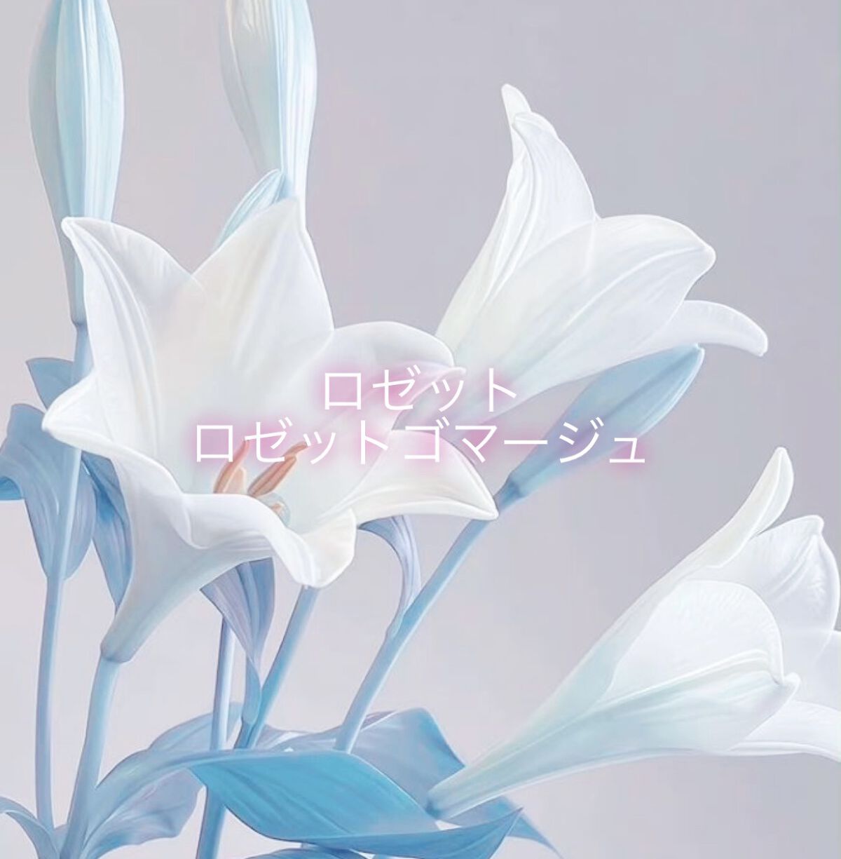 ロゼットゴマージュ/ロゼット/ピーリングを使ったクチコミ（1枚目）