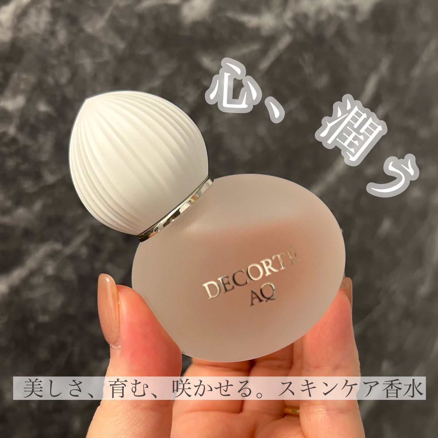 AQ オードパルファン/DECORTÉ/香水(レディース)を使ったクチコミ(1枚目)