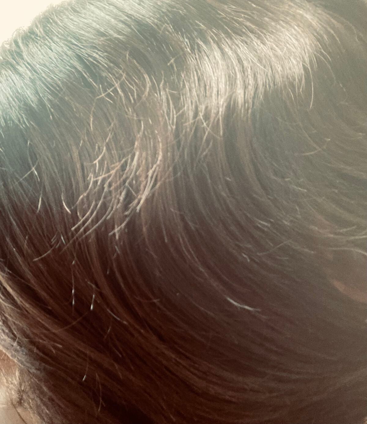 fresh_glow_sk9s on LIPS 「爽やかな優しい香りと、泡立ち、洗い上がりどれをとっても良かった..」(2枚目)