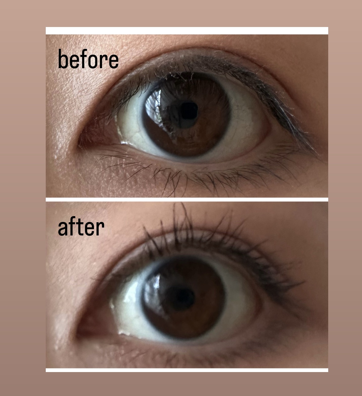 ラッシュニスタ　プライマー/MAYBELLINE NEW YORK/マスカラ下地を使ったクチコミ（2枚目）