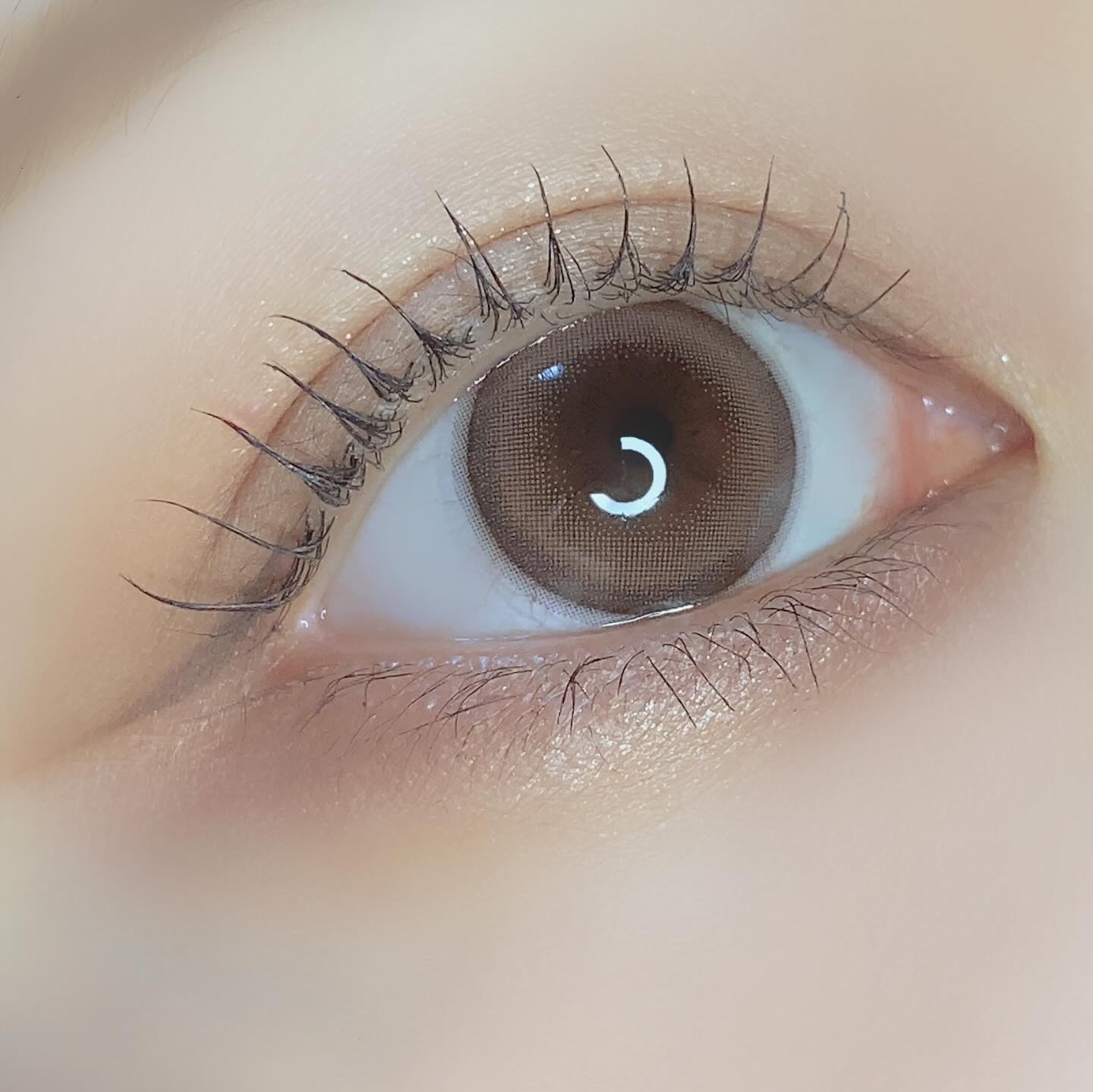 HARNE 1day マカロン/HARNE/ワンデー（１DAY）カラコンを使ったクチコミ（3枚目）