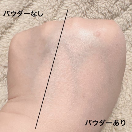ウォンジョンヨ フィクシングブラーパウダー N/Wonjungyo/ルースパウダーを使ったクチコミ(4枚目)