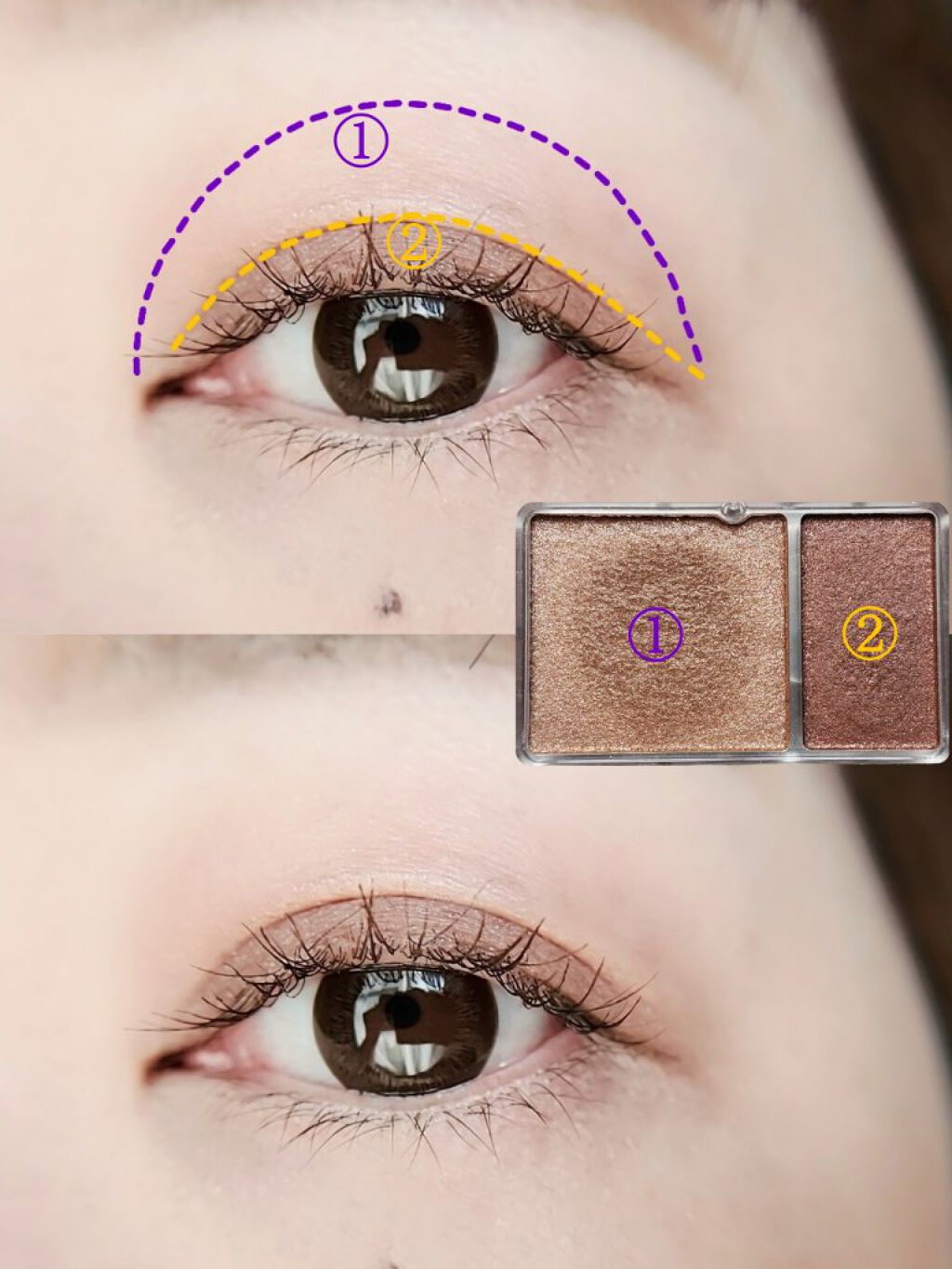 ロイヤルパールアイズ 02 ワイングレージュ/キャンメイク/アイシャドウパレットを使ったクチコミ（3枚目）