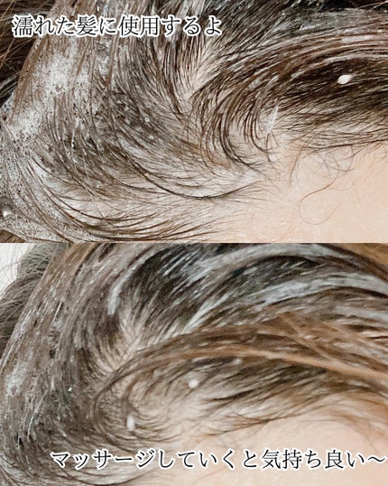 ヘッドスクラブ リフレッシング(ミント)/SABON/ヘッドスクラブを使ったクチコミ(4枚目)