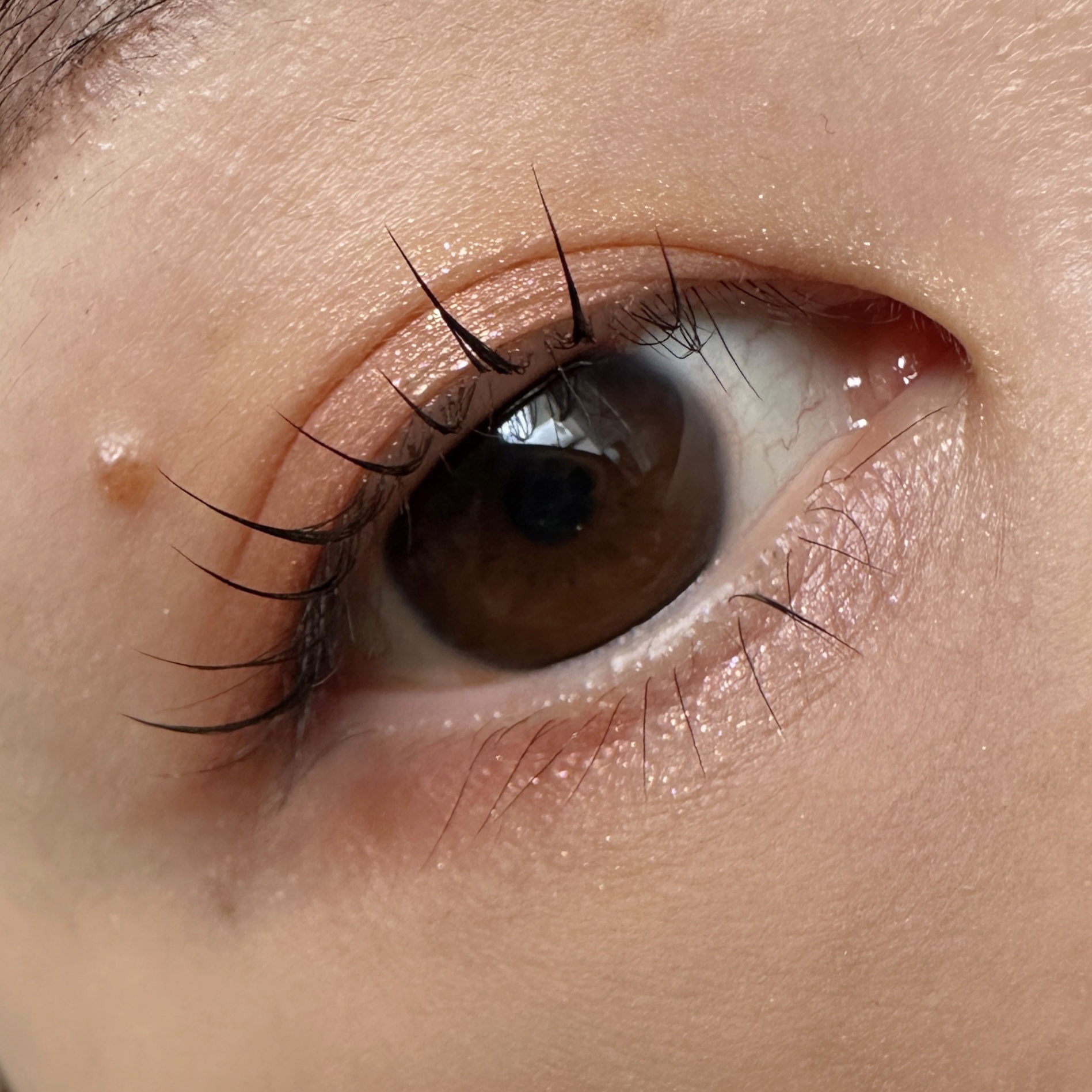 【旧】ディオールショウ サンク クルール（プラン ドゥ パリ コレクション限定品） 663 サントノーレ/Dior/アイシャドウを使ったクチコミ（2枚目）