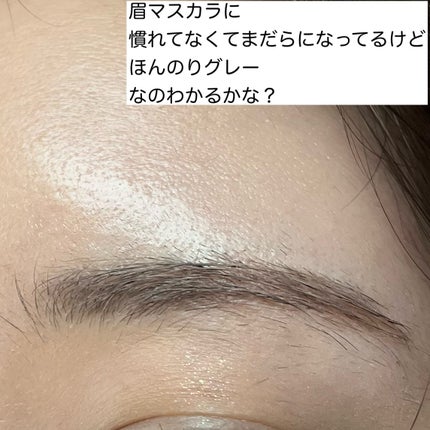 ハンオールブロウカラ/rom&nd/眉マスカラを使ったクチコミ(2枚目)