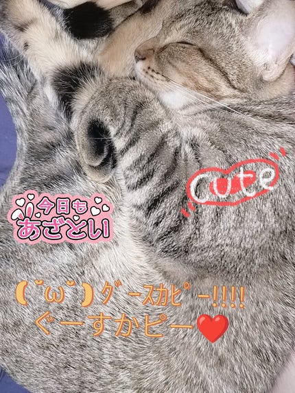 URGLAM GLITTER GEM/U R GLAM/ジェル・クリームチークを使ったクチコミ(4枚目)