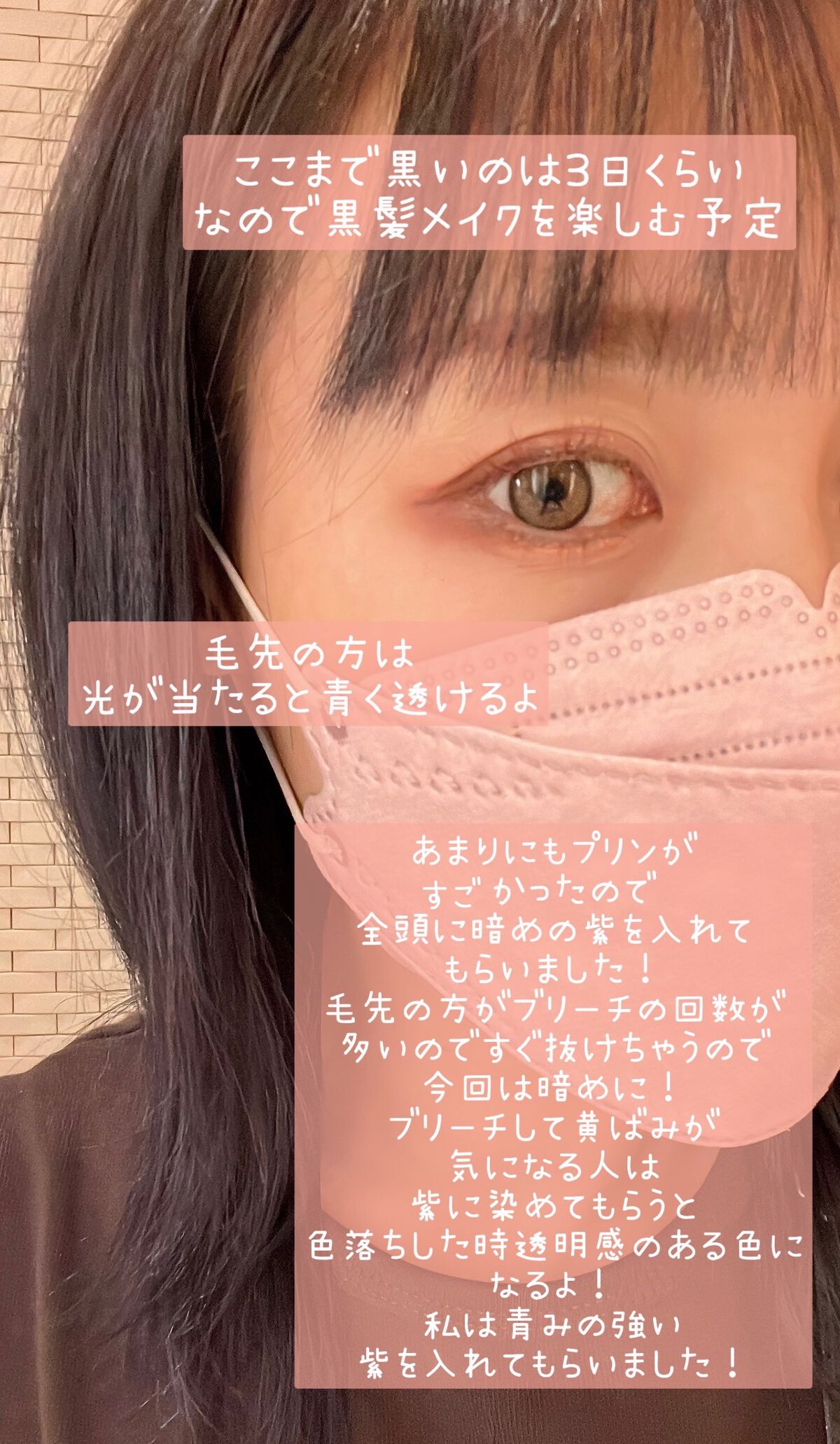 カラーシャンプー パープル/ROYD/市販シャンプーを使ったクチコミ（2枚目）