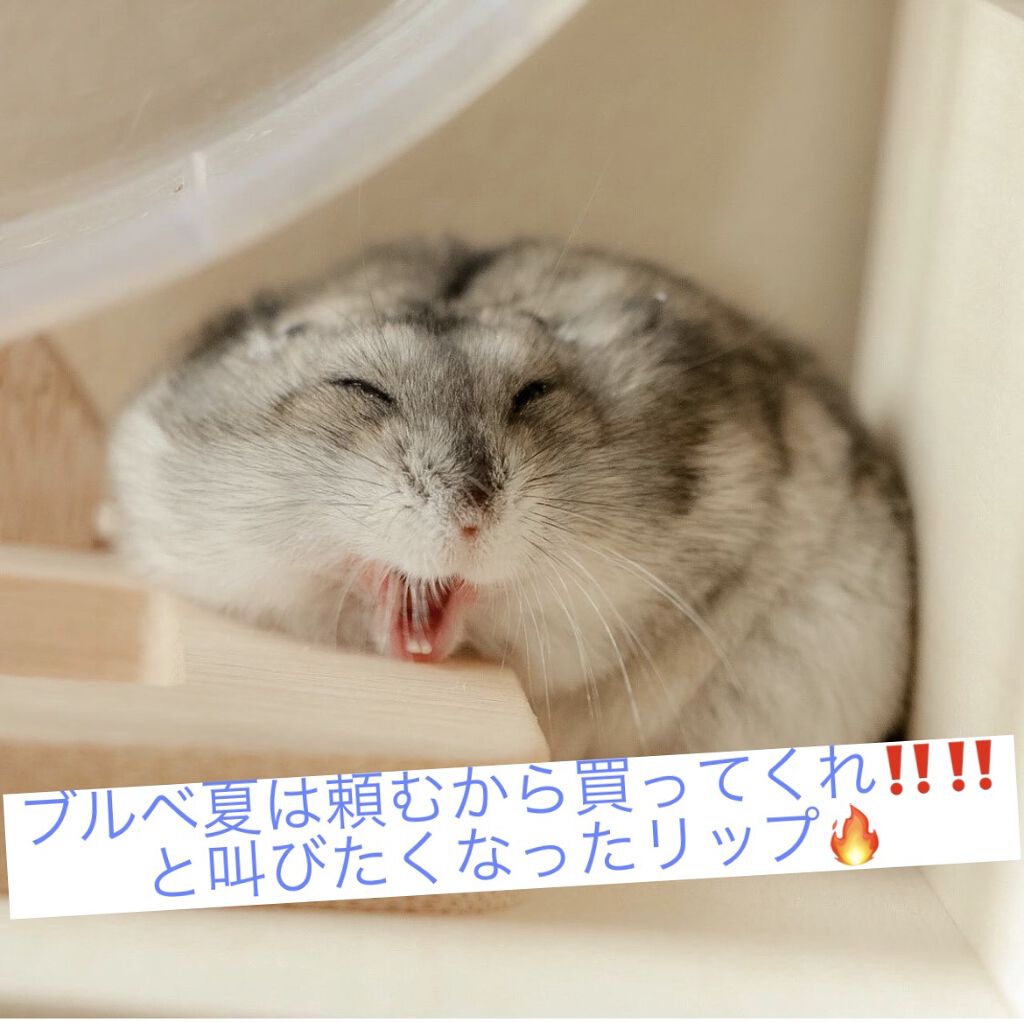 シロップグロッシーバーム/ETUDE/リップグロスを使ったクチコミ（1枚目）