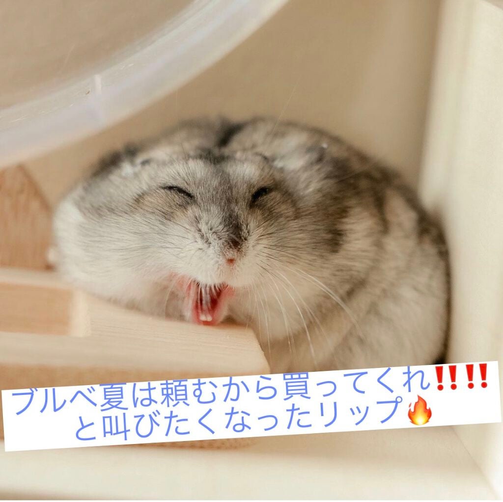 シロップグロッシーバーム/ETUDE/リップグロスを使ったクチコミ(1枚目)