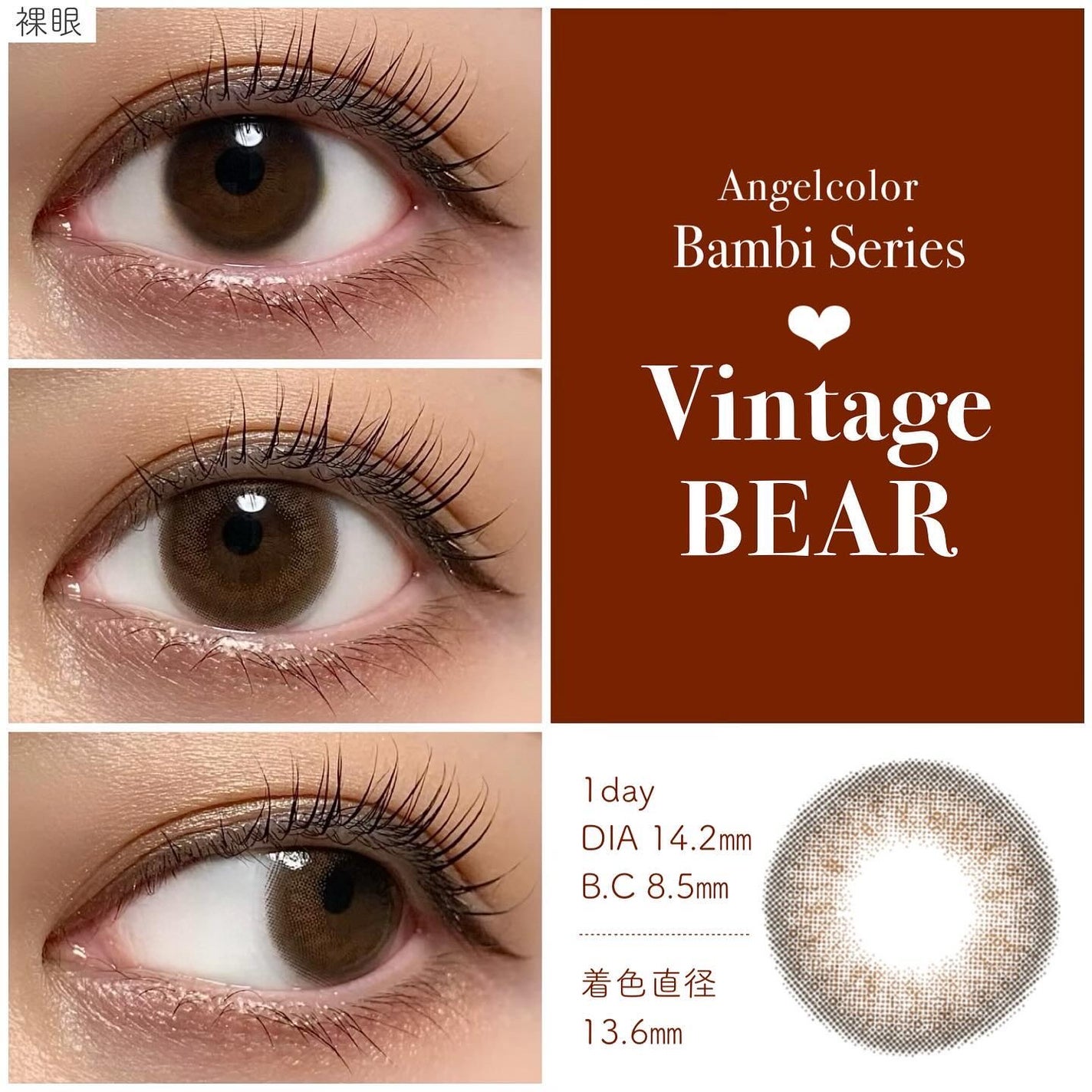 Angelcolor Bambi Series Vintage 1day/AngelColor/ワンデー(1DAY)カラコンを使ったクチコミ(2枚目)