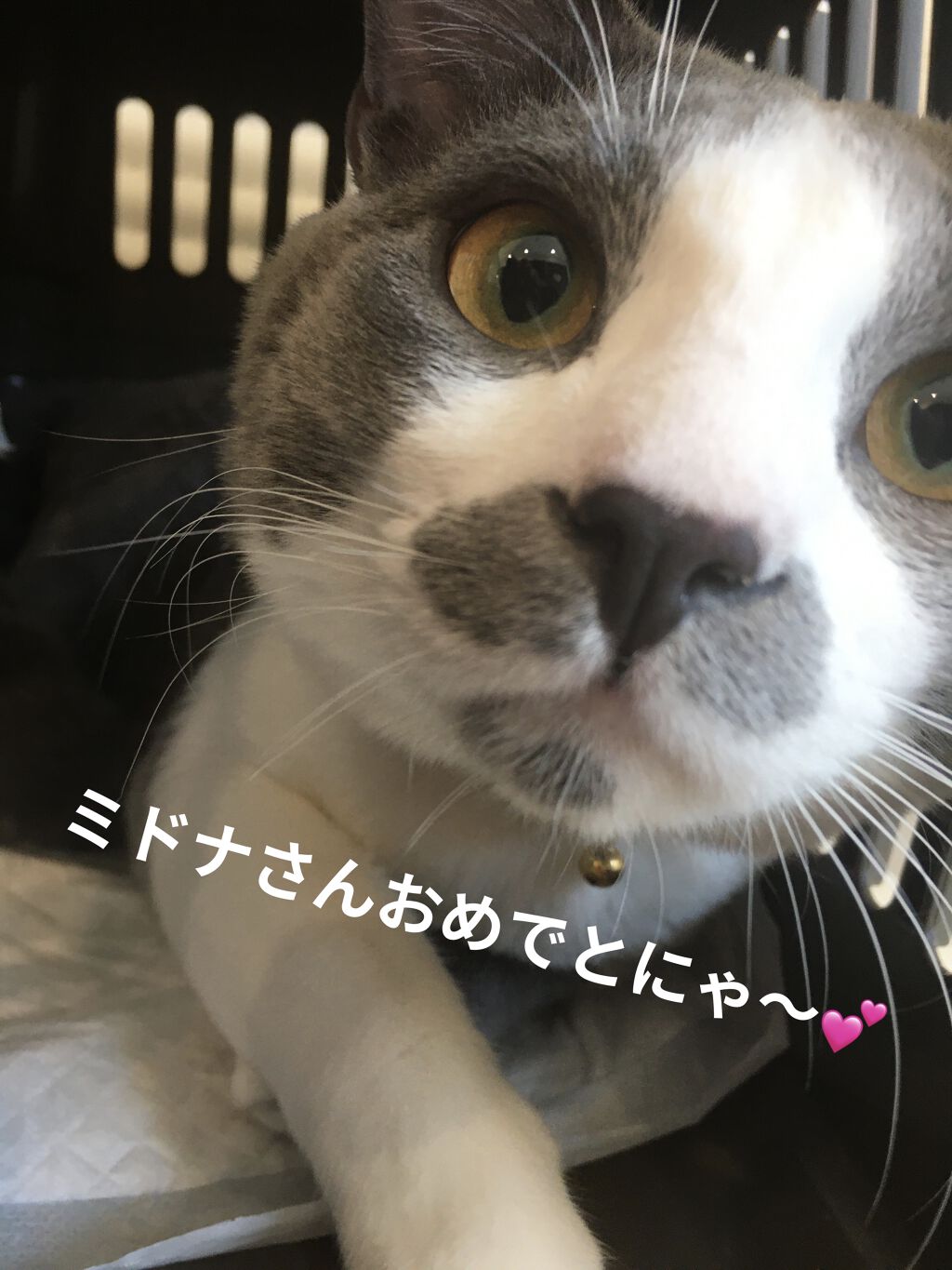 チャンス オー タンドゥル ヘア ミスト/CHANEL/ヘアミストを使ったクチコミ（2枚目）