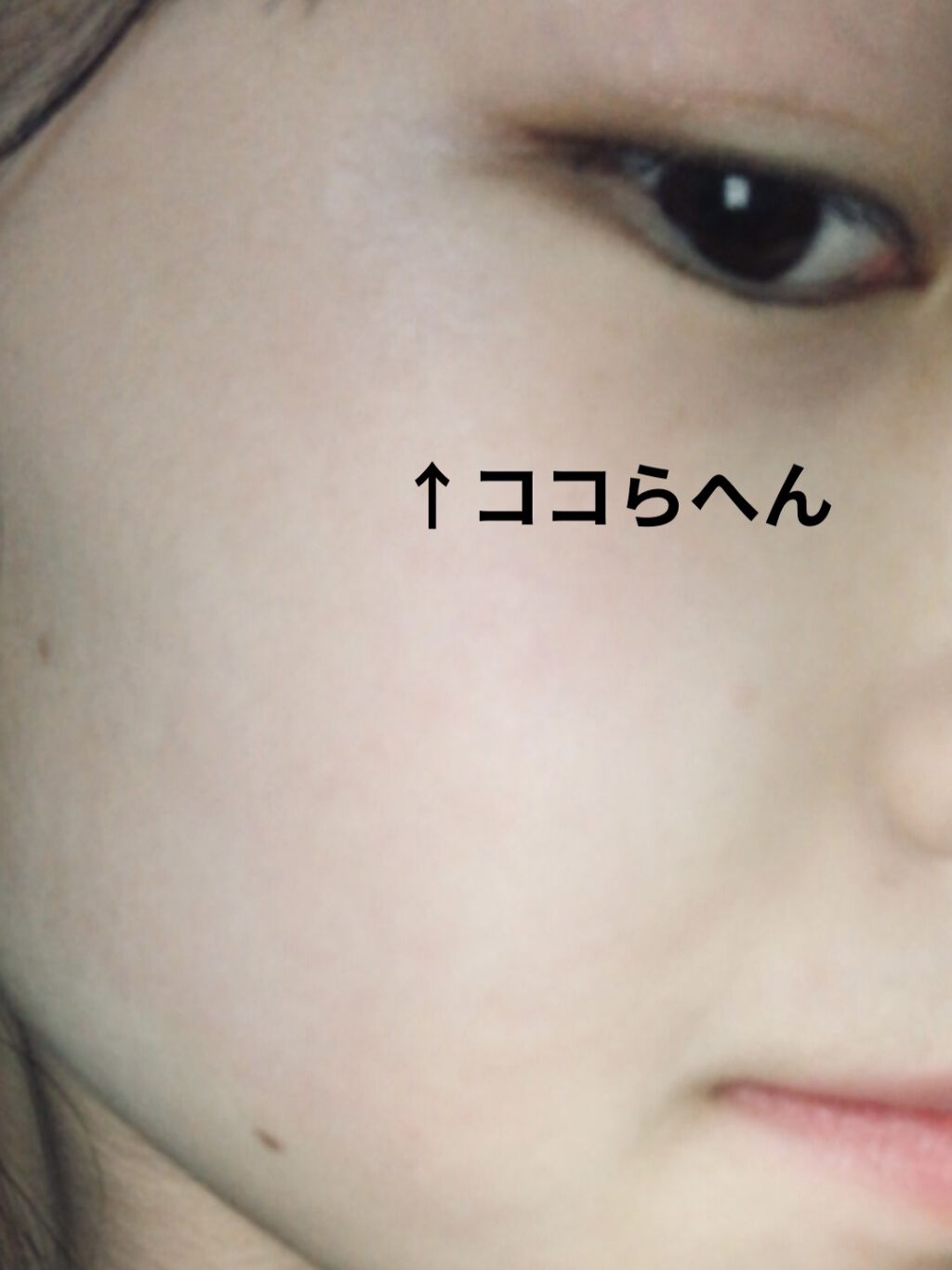 ハイライトブラシ/キャンメイク/メイクブラシを使ったクチコミ（2枚目）