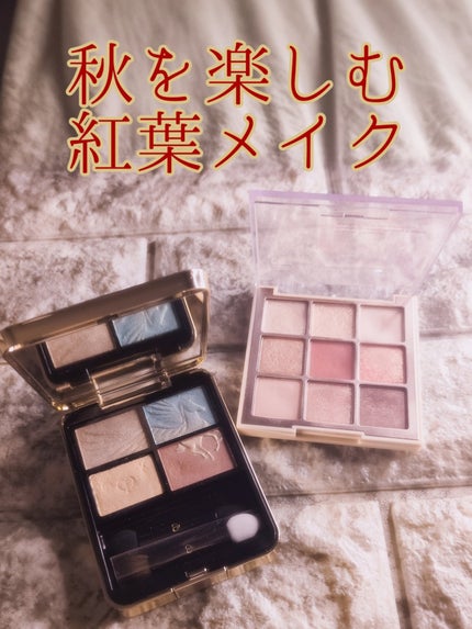 シャドウパレット/dasique/アイシャドウパレットを使ったクチコミ(6枚目)