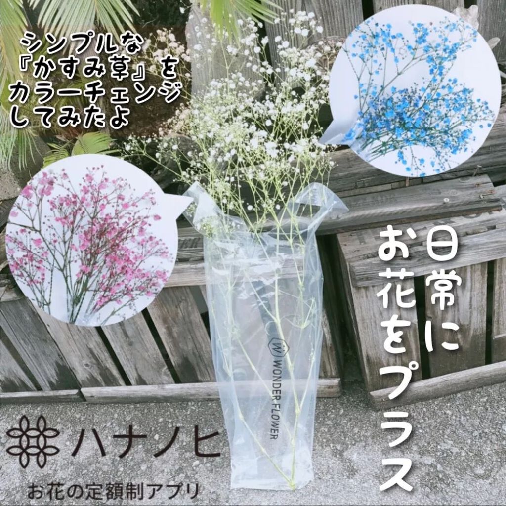 ハナノヒ サブスク/ハナノヒ/その他を使ったクチコミ（1枚目）