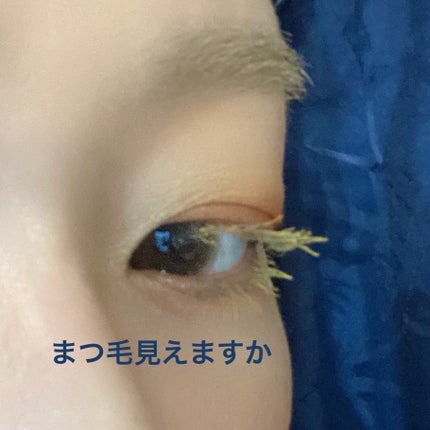 ジンジャーアイシャドウパレット/SHIRO/アイシャドウパレットを使ったクチコミ(10枚目)