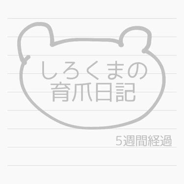 しろくまの育爪、5週間が経過しました🎉🎉🎉

テーブルとかで爪先カチカチ鳴らすの嬉しくてハマってます（笑）ちっちゃい子みたい😅

授業中とか爪いじるのが癖になってたから、
今はその代わりに指のマッサージ