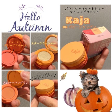 ビューティーベントー/Kaja(カジャ)/単色アイシャドウを使ったクチコミ(1枚目)