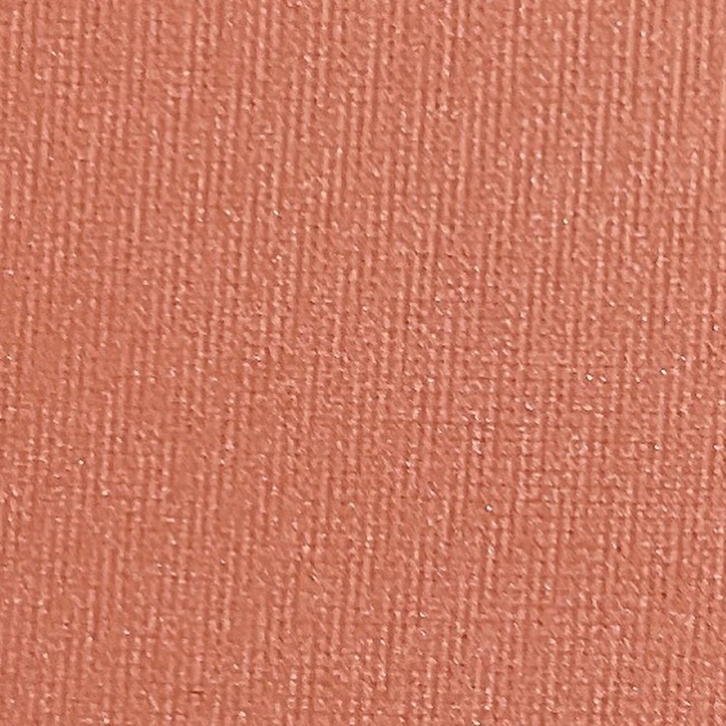 ピュア チーク カラー/heme/パウダーチークを使ったクチコミ(3枚目)