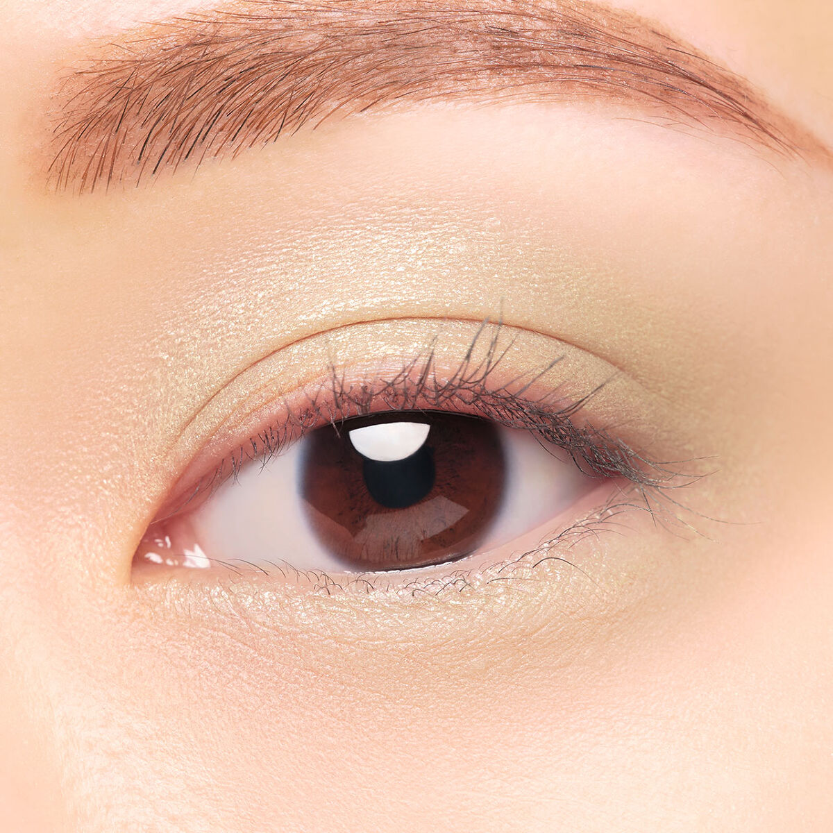 レヨン ジュレアイズ N 14