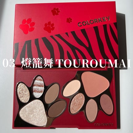 トラ十色アイシャドウパレット/COLORKEY/アイシャドウパレットを使ったクチコミ(4枚目)