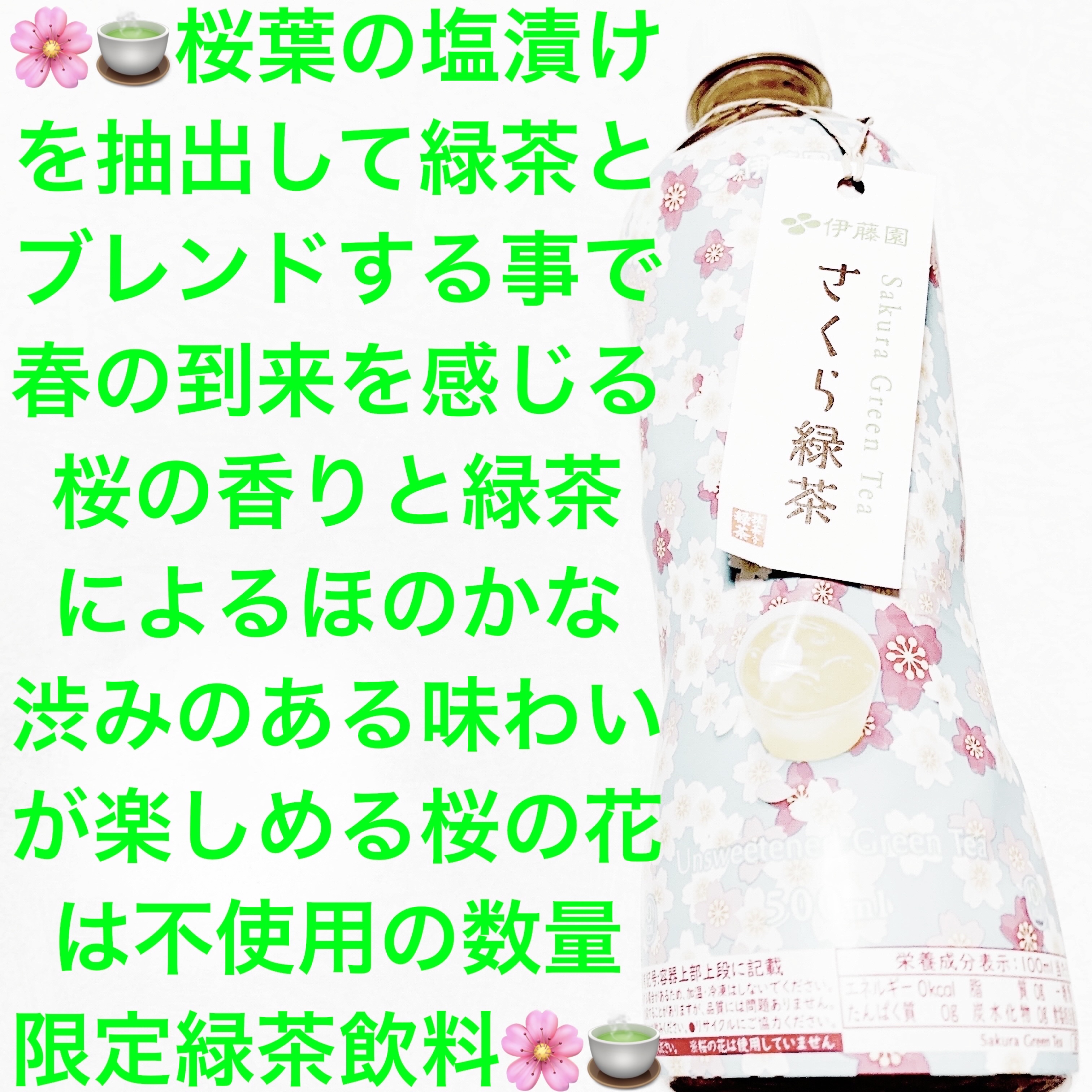 さくら緑茶/伊藤園/ドリンクを使ったクチコミ（1枚目）